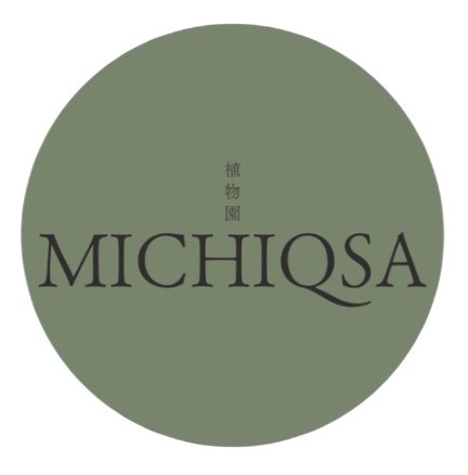 MICHIQSA